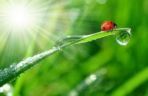 Being healthy and staying safe | Covid-19 2 Being healthy and staying safe