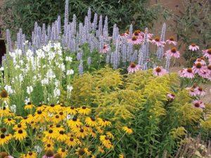 Volunteer Near Me - tenant gardens