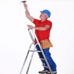 Zetetick Hand Person/Garder 2