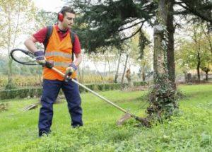 Zetetick Handy Person/Gardener